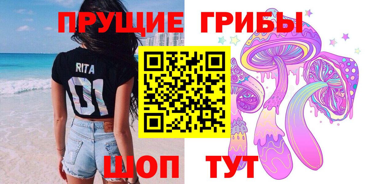Галлюциногенные грибы Cubensis  Вход с VPN  Похвистнево 