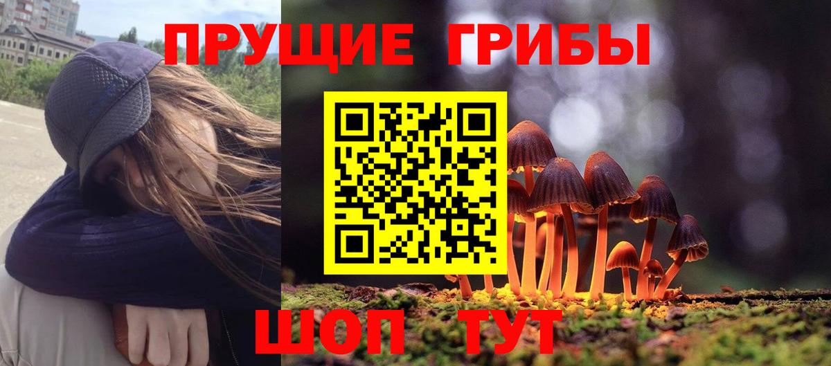 Галлюциногенные грибы ЛСД Похвистнево